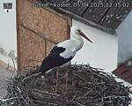 Capi_Dubne_20250405_123502.jpg