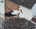 Capi_Dubne_20250405_130002.jpg