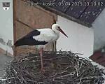 Capi_Dubne_20250405_131002.jpg