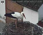 Capi_Dubne_20250405_131502.jpg