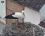Capi_Dubne_20250405_132003.jpg