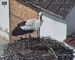 Capi_Dubne_20250405_134003.jpg