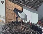 Capi_Dubne_20250405_135003.jpg