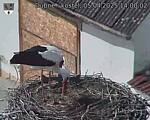 Capi_Dubne_20250405_140002.jpg