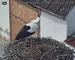 Capi_Dubne_20250405_140504.jpg