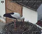 Capi_Dubne_20250405_141002.jpg