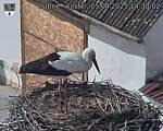 Capi_Dubne_20250405_143002.jpg