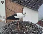 Capi_Dubne_20250405_145502.jpg