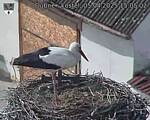 Capi_Dubne_20250405_150502.jpg