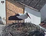 Capi_Dubne_20250405_151003.jpg