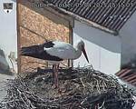 Capi_Dubne_20250405_151503.jpg
