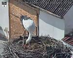 Capi_Dubne_20250405_153004.jpg