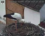 Capi_Dubne_20250405_153502.jpg