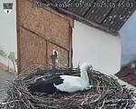 Capi_Dubne_20250405_154503.jpg