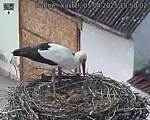 Capi_Dubne_20250405_155002.jpg