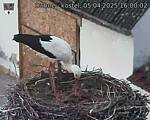 Capi_Dubne_20250405_160002.jpg