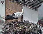 Capi_Dubne_20250405_161002.jpg