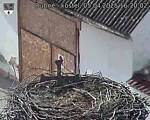 Capi_Dubne_20250405_162002.jpg