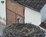 Capi_Dubne_20250405_162503.jpg