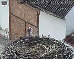 Capi_Dubne_20250405_163502.jpg