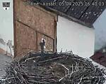 Capi_Dubne_20250405_164003.jpg