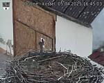 Capi_Dubne_20250405_164503.jpg