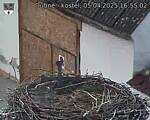 Capi_Dubne_20250405_165502.jpg