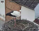 Capi_Dubne_20250405_170003.jpg