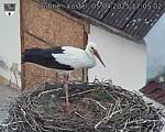 Capi_Dubne_20250405_170502.jpg