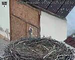 Capi_Dubne_20250405_171002.jpg