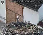 Capi_Dubne_20250405_173503.jpg