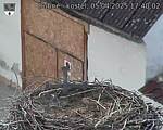 Capi_Dubne_20250405_174002.jpg