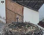 Capi_Dubne_20250405_175502.jpg