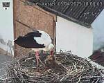Capi_Dubne_20250405_180003.jpg