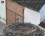 Capi_Dubne_20250405_182502.jpg