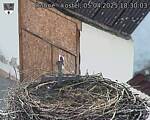 Capi_Dubne_20250405_183003.jpg