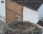 Capi_Dubne_20250405_183502.jpg