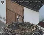 Capi_Dubne_20250405_184002.jpg