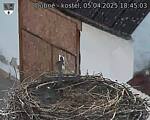 Capi_Dubne_20250405_184503.jpg