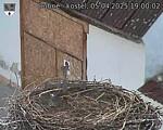 Capi_Dubne_20250405_190002.jpg
