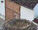 Capi_Dubne_20250405_190502.jpg