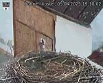 Capi_Dubne_20250405_191002.jpg