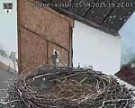 Capi_Dubne_20250405_192003.jpg