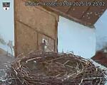 Capi_Dubne_20250405_192502.jpg