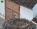 Capi_Dubne_20250405_193003.jpg