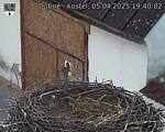 Capi_Dubne_20250405_194002.jpg