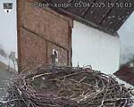 Capi_Dubne_20250405_195003.jpg