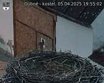 Capi_Dubne_20250405_195502.jpg