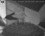 Capi_Dubne_20250405_201503.jpg