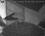 Capi_Dubne_20250405_202502.jpg
